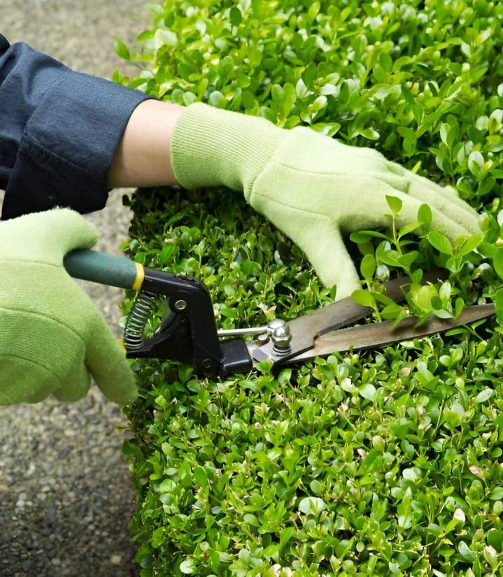 Entretien d’espaces verts à Aurillac