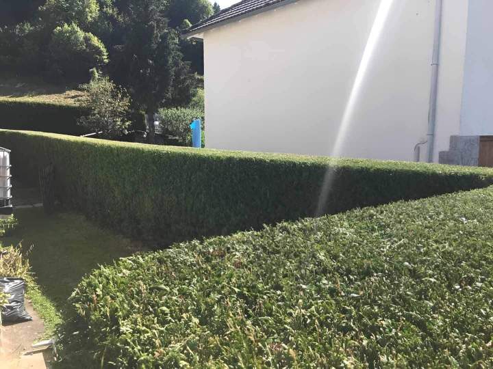 Entretien de jardin Aurillac