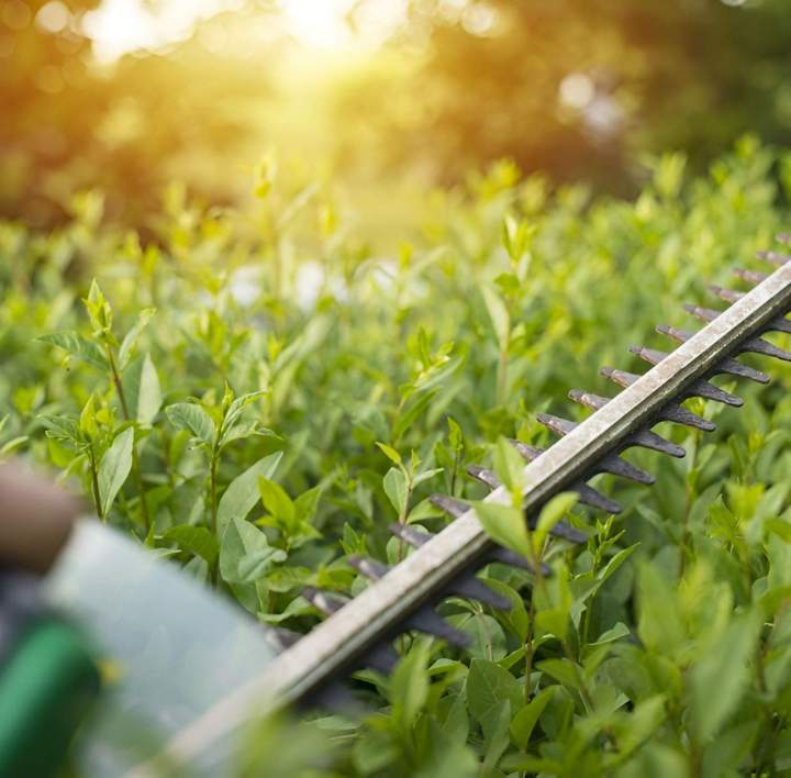 La garantie d’un espace vert soigné toute l’année