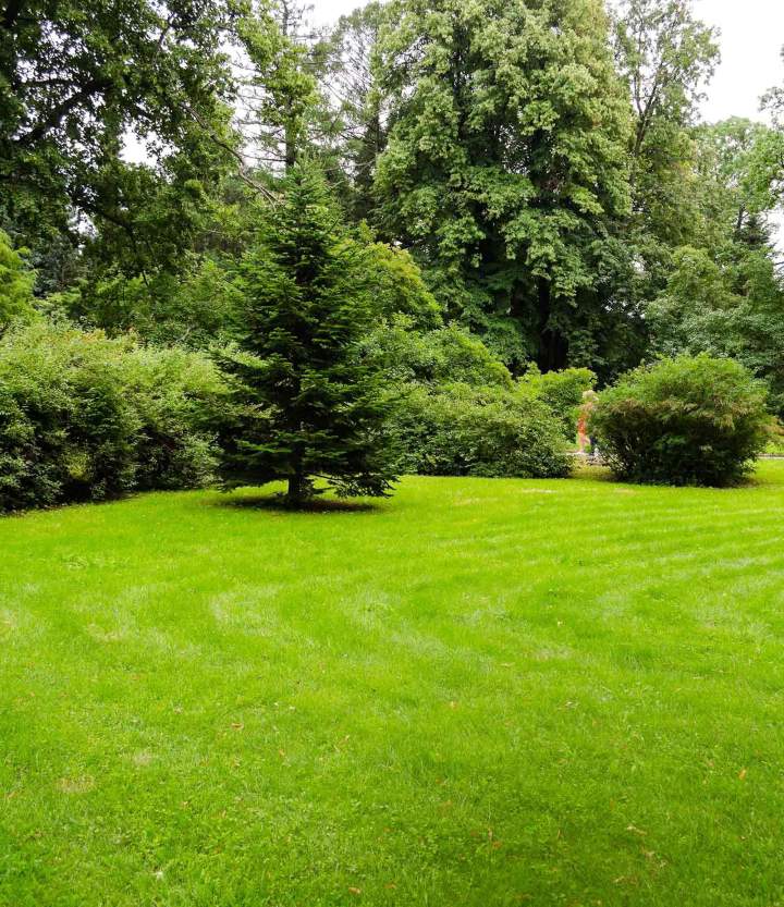 Aménagement espace vert Aurillac